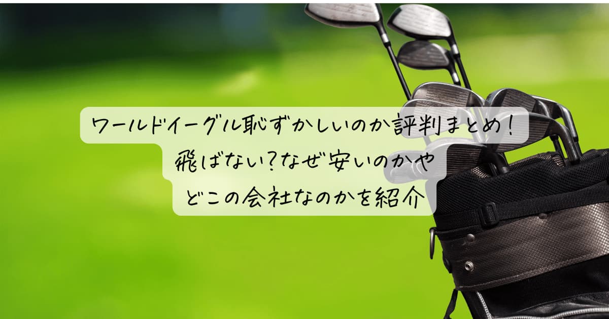 ワールドイーグル恥ずかしいのか評判まとめ！飛ばない？なぜ安いのかやどこの会社なのかを紹介